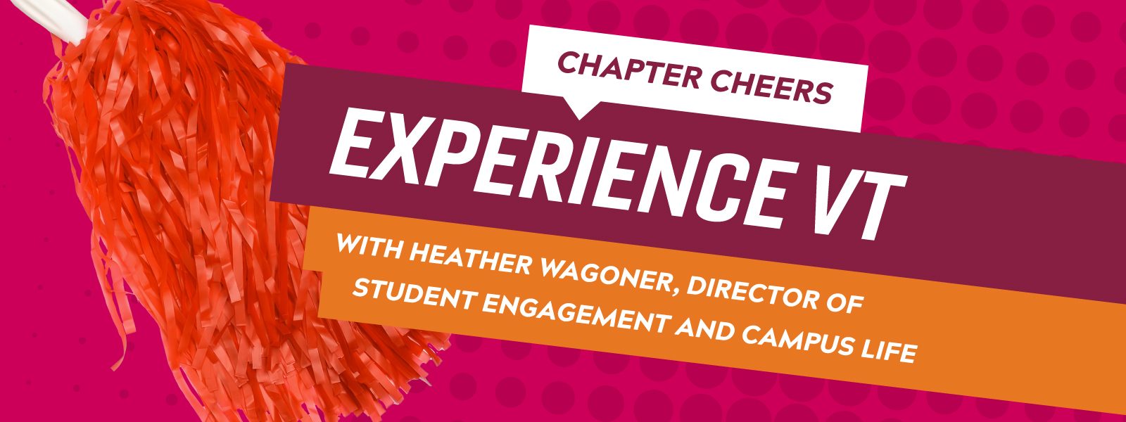 Chapter Cheers:  ExperienceVT